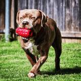 Grenade-Dog Toy-Rover Pet Products