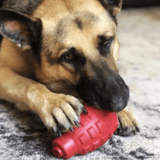 Grenade-Dog Toy-Rover Pet Products