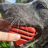 Heart On A String-Dog Toy-Rover Pet Products