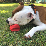 Heart On A String-Dog Toy-Rover Pet Products