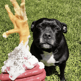 Heart On A String-Dog Toy-Rover Pet Products