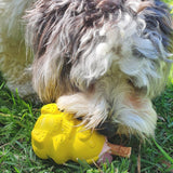 Honey Bear-Dog Toy-Rover Pet Products