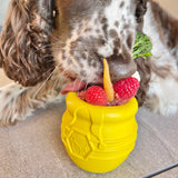 Honey Pot-Dog Toy-Rover Pet Products