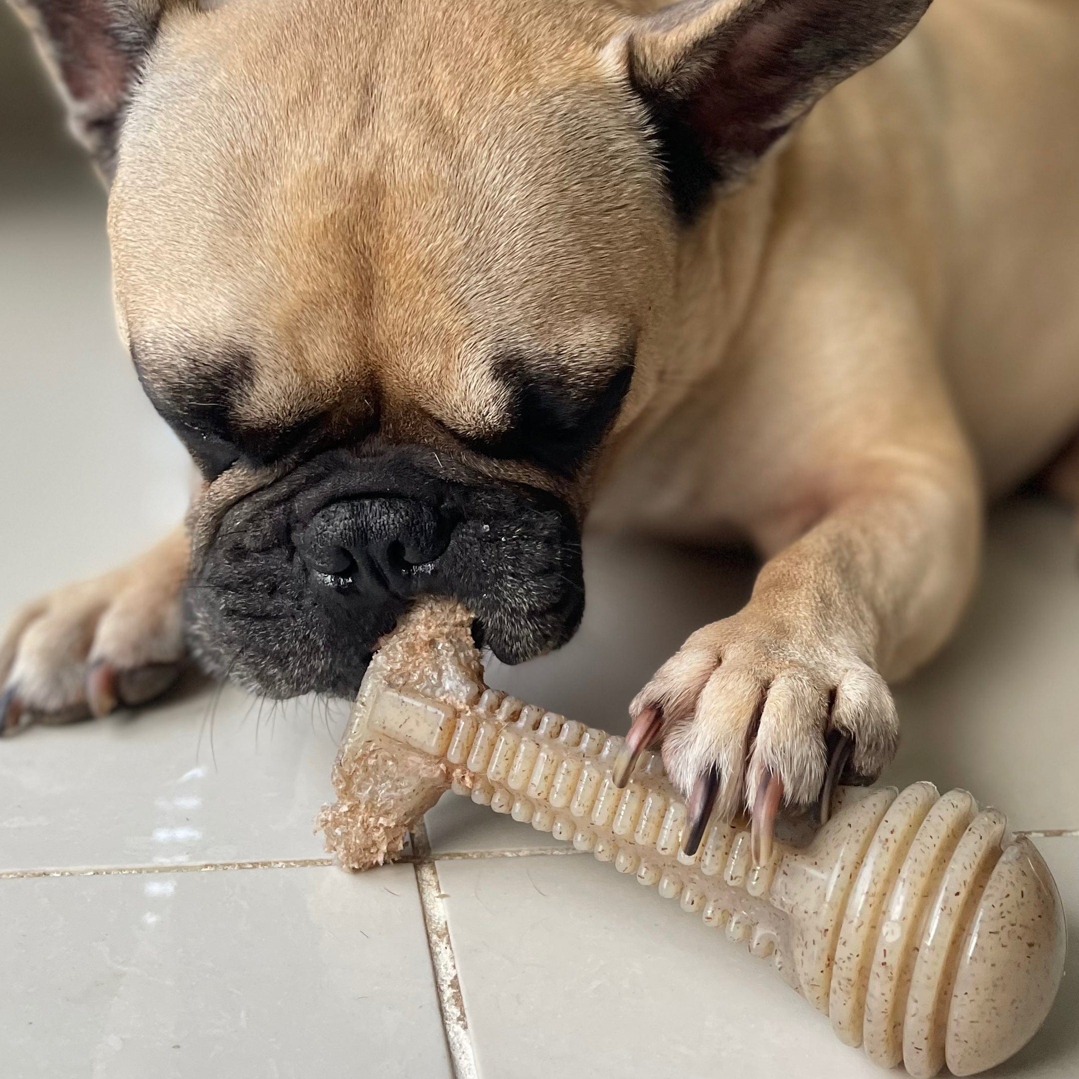 Honeybone Dental Tower-Dog Toy-Rover Pet Products