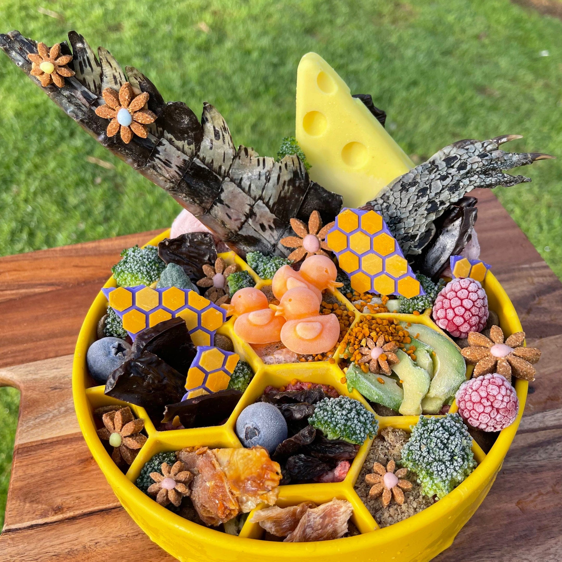 Honeycomb eBowl-Slow Feeder-Rover Pet Products