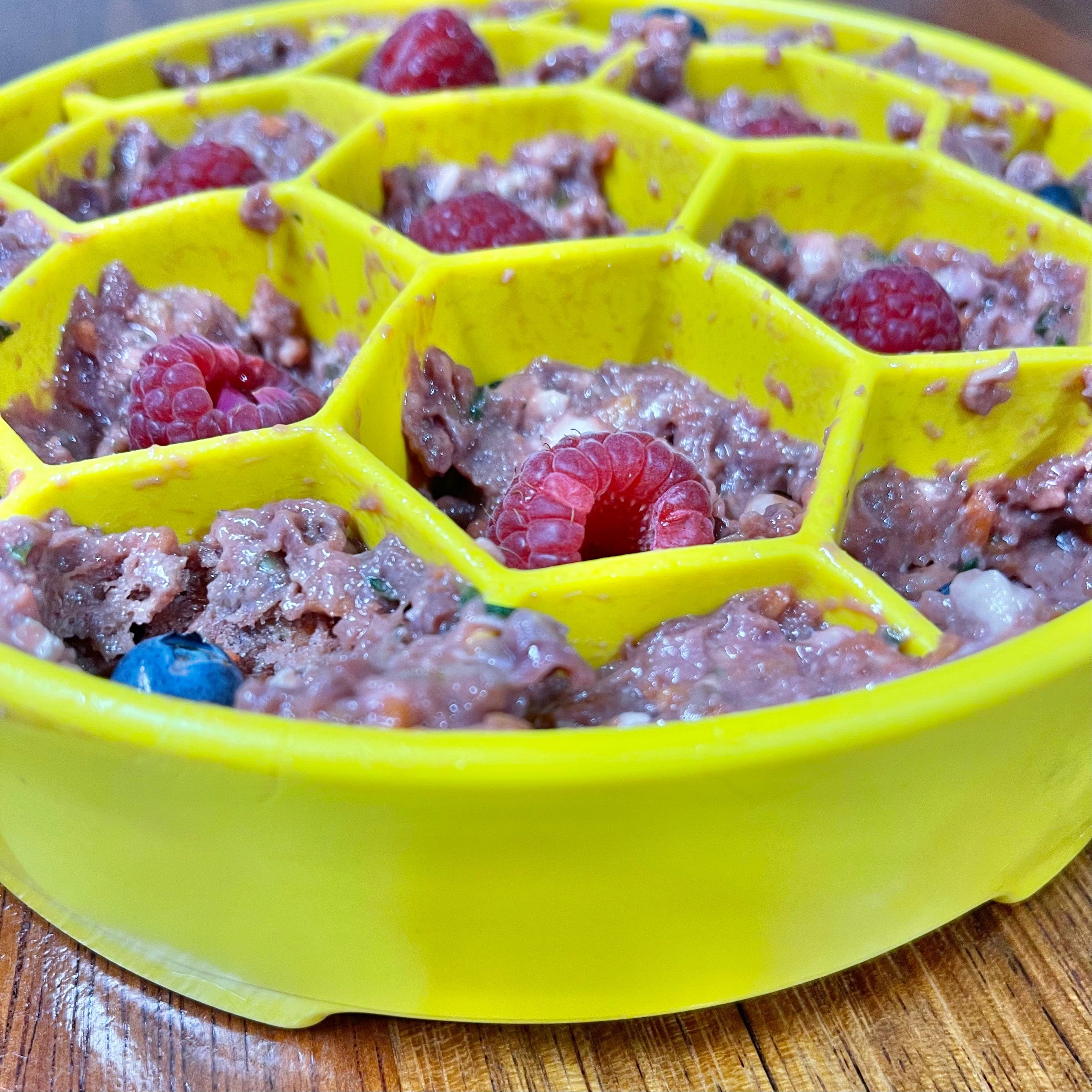 Honeycomb eBowl-Slow Feeder-Rover Pet Products