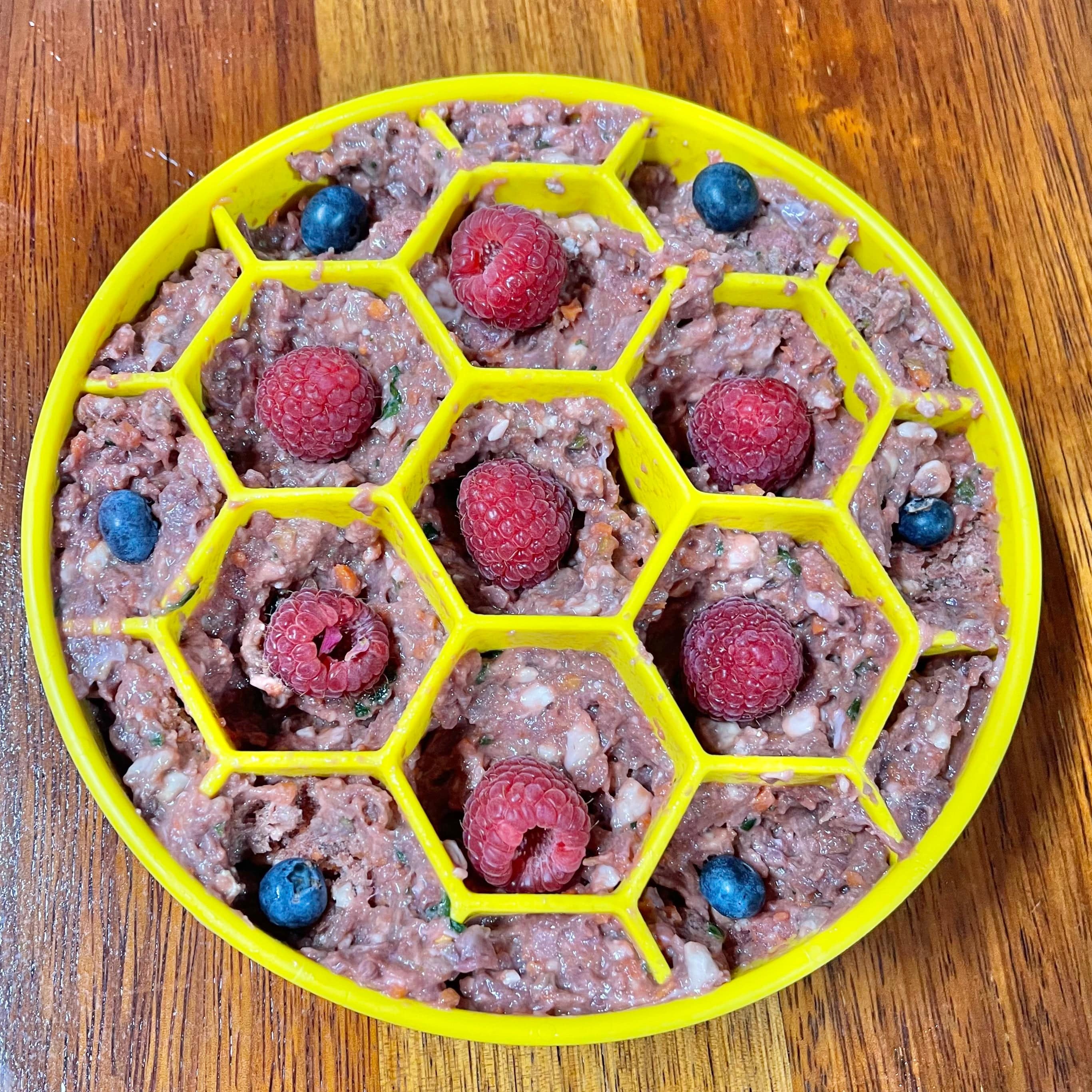 Honeycomb eBowl-Slow Feeder-Rover Pet Products