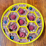 Honeycomb eBowl-Slow Feeder-Rover Pet Products