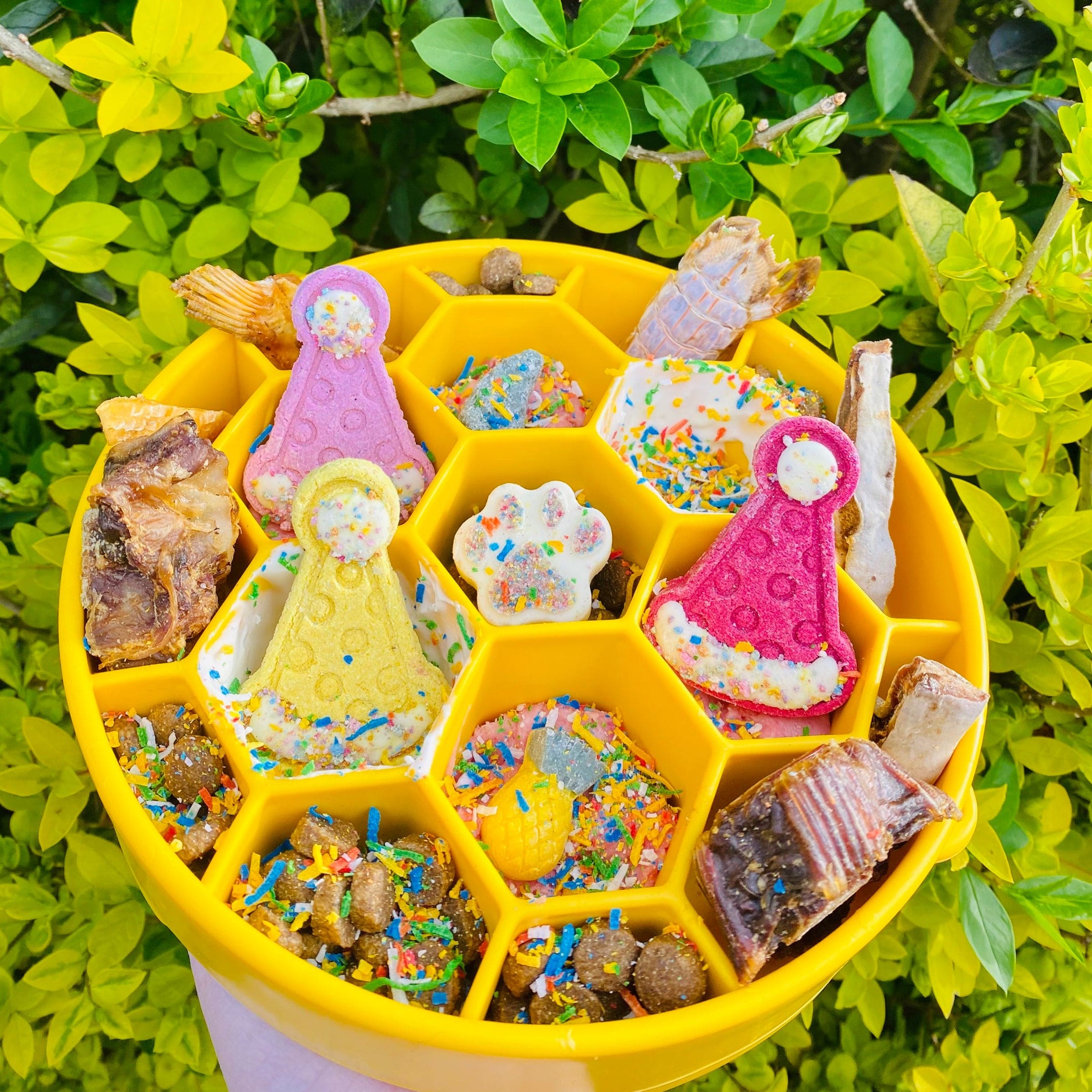 Honeycomb eBowl-Slow Feeder-Rover Pet Products