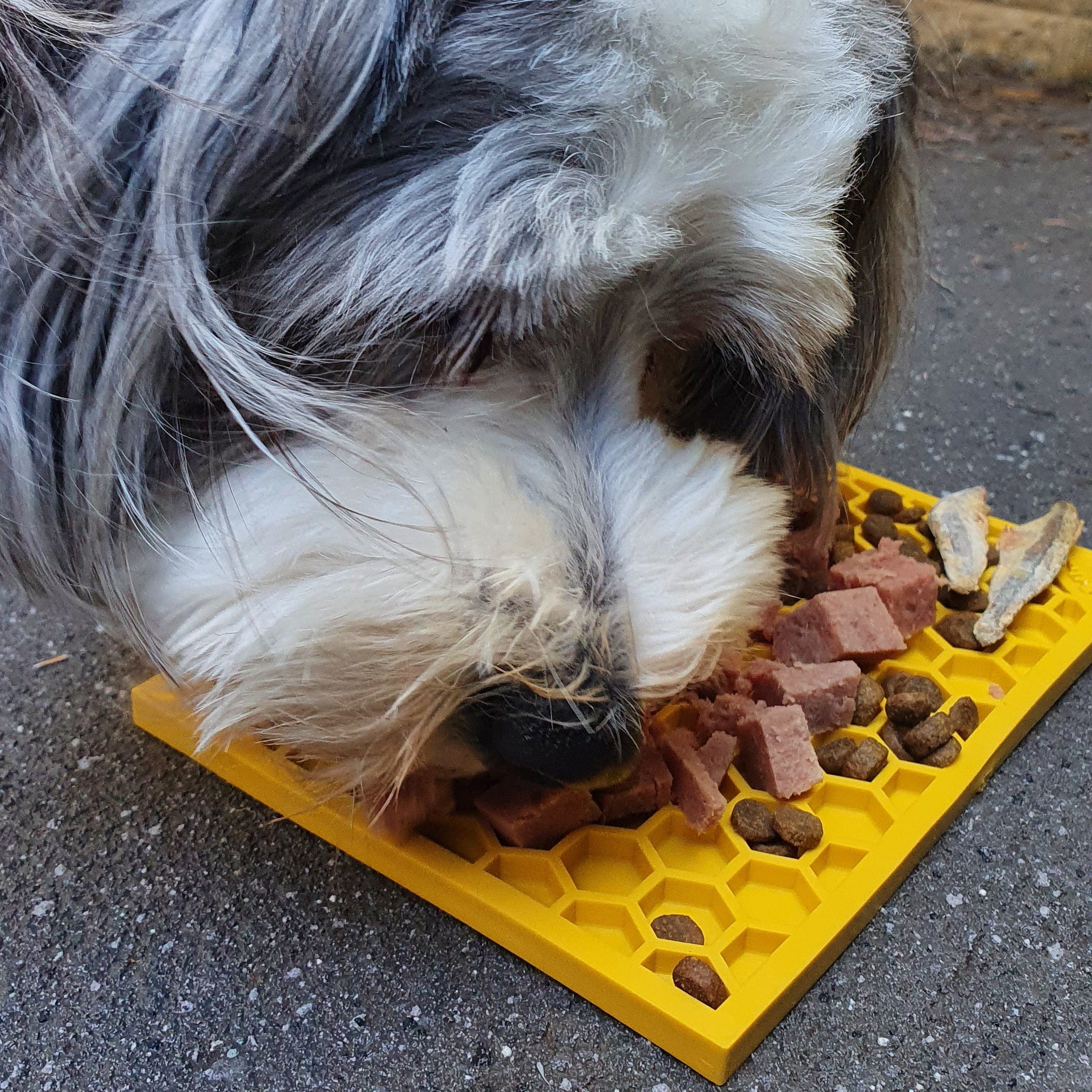Honeycomb eMat Enrichment Lick Mat-Slow Feeder-Rover Pet Products