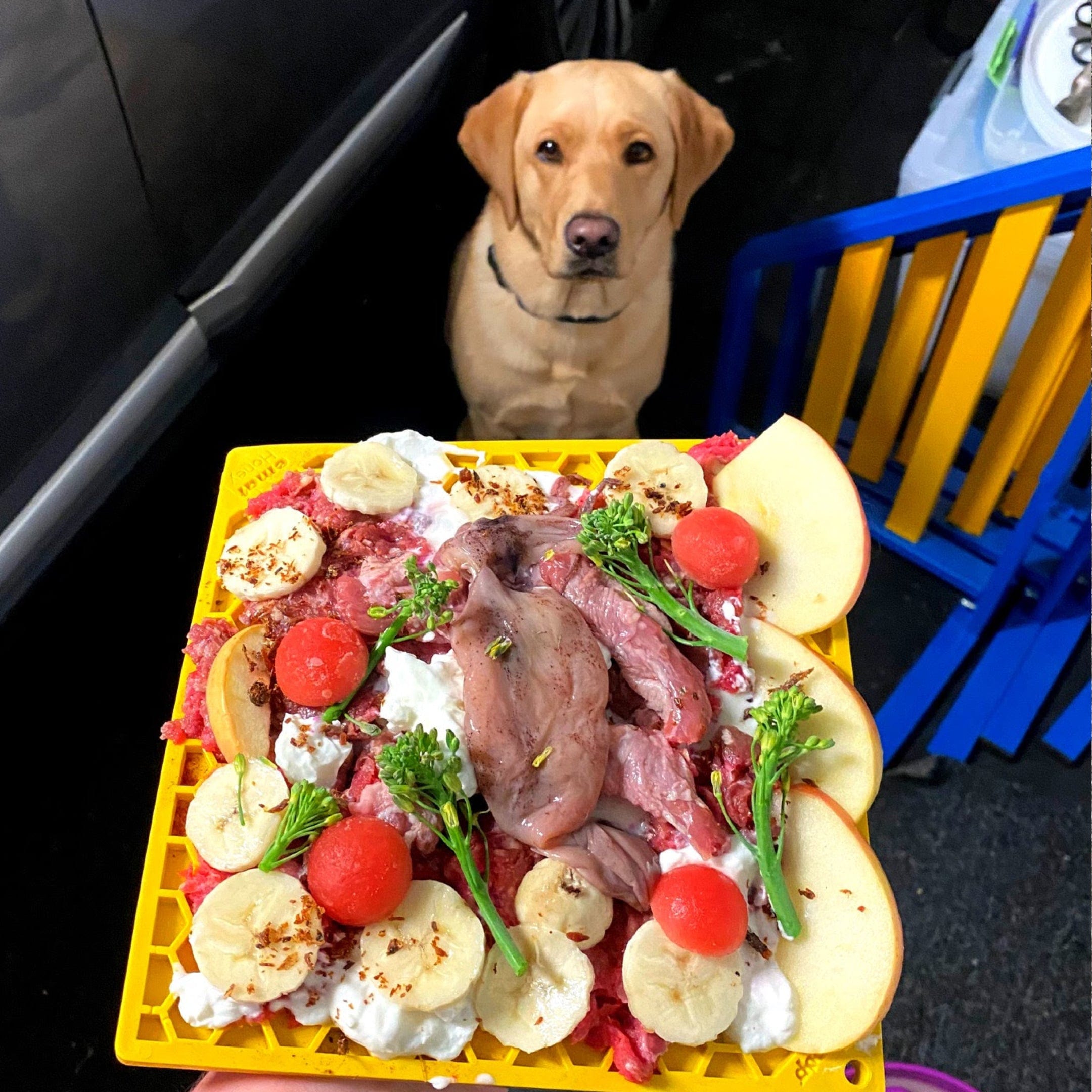 Honeycomb eMat (Large) Enrichment Lick Mat-Slow Feeder-Rover Pet Products