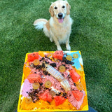 Honeycomb eMat (Large) Enrichment Lick Mat-Slow Feeder-Rover Pet Products