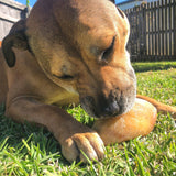 Hooves There? - Cow Hooves-Dog Treat-Rover Pet Products