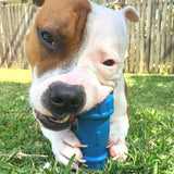 ID Bone-Dog Toy-Rover Pet Products