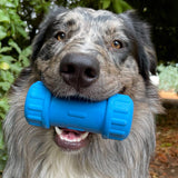 ID Bone-Dog Toy-Rover Pet Products