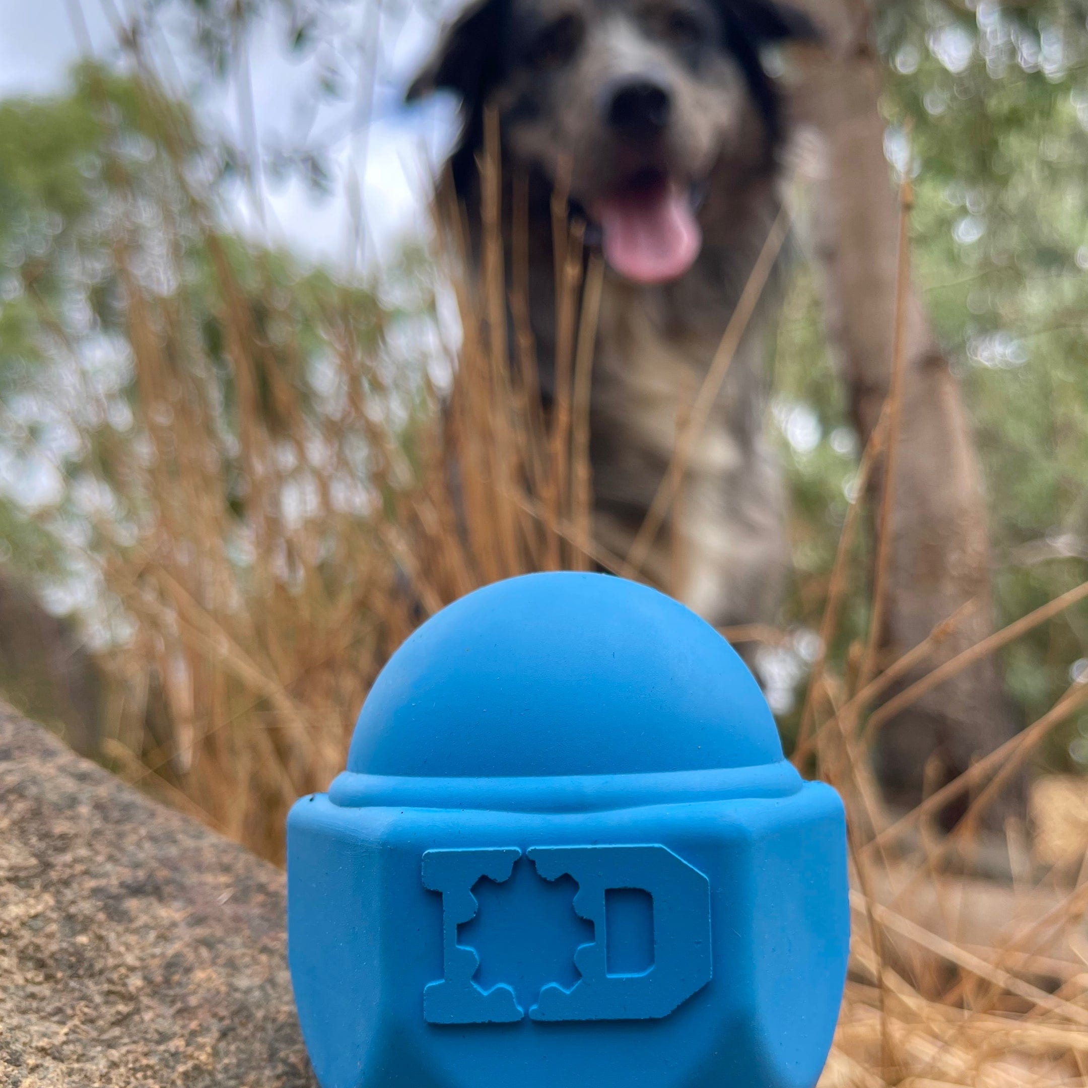 ID Cap Nut-Dog Toy-Rover Pet Products