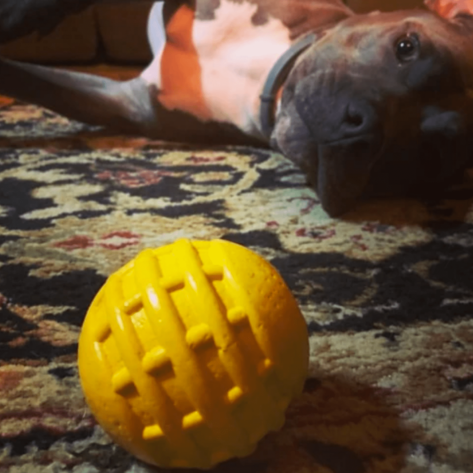 Industrial Dog Ball (Power Chewers)-Unclassified-Rover Pet Products