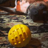 Industrial Dog Ball (Power Chewers)-Unclassified-Rover Pet Products