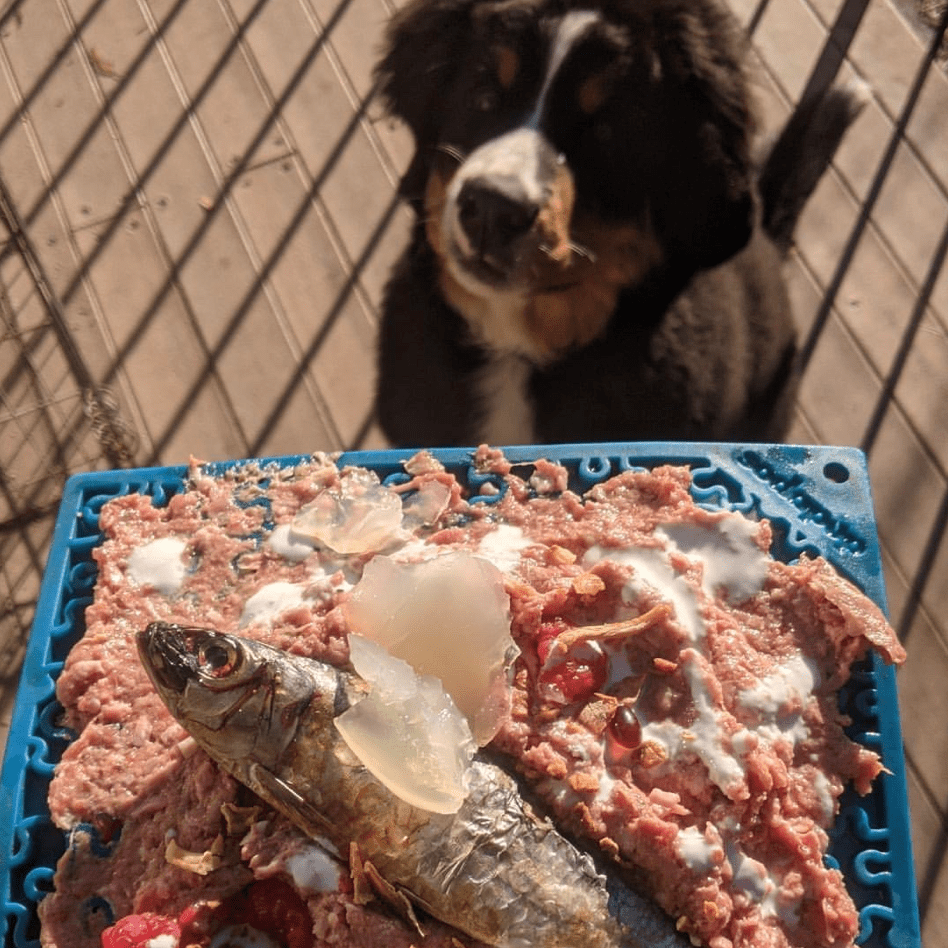 JIGSAW eMat Enrichment Lick Mat-Slow Feeder-Rover Pet Products