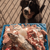 JIGSAW eMat Enrichment Lick Mat-Slow Feeder-Rover Pet Products