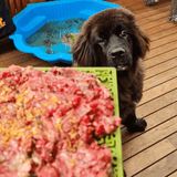 JIGSAW eMat Enrichment Lick Mat-Slow Feeder-Rover Pet Products