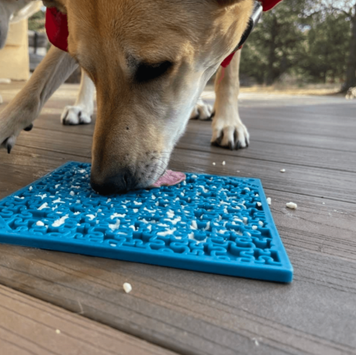 JIGSAW eMat Enrichment Lick Mat-Slow Feeder-Rover Pet Products