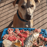 JIGSAW eMat Enrichment Lick Mat-Slow Feeder-Rover Pet Products