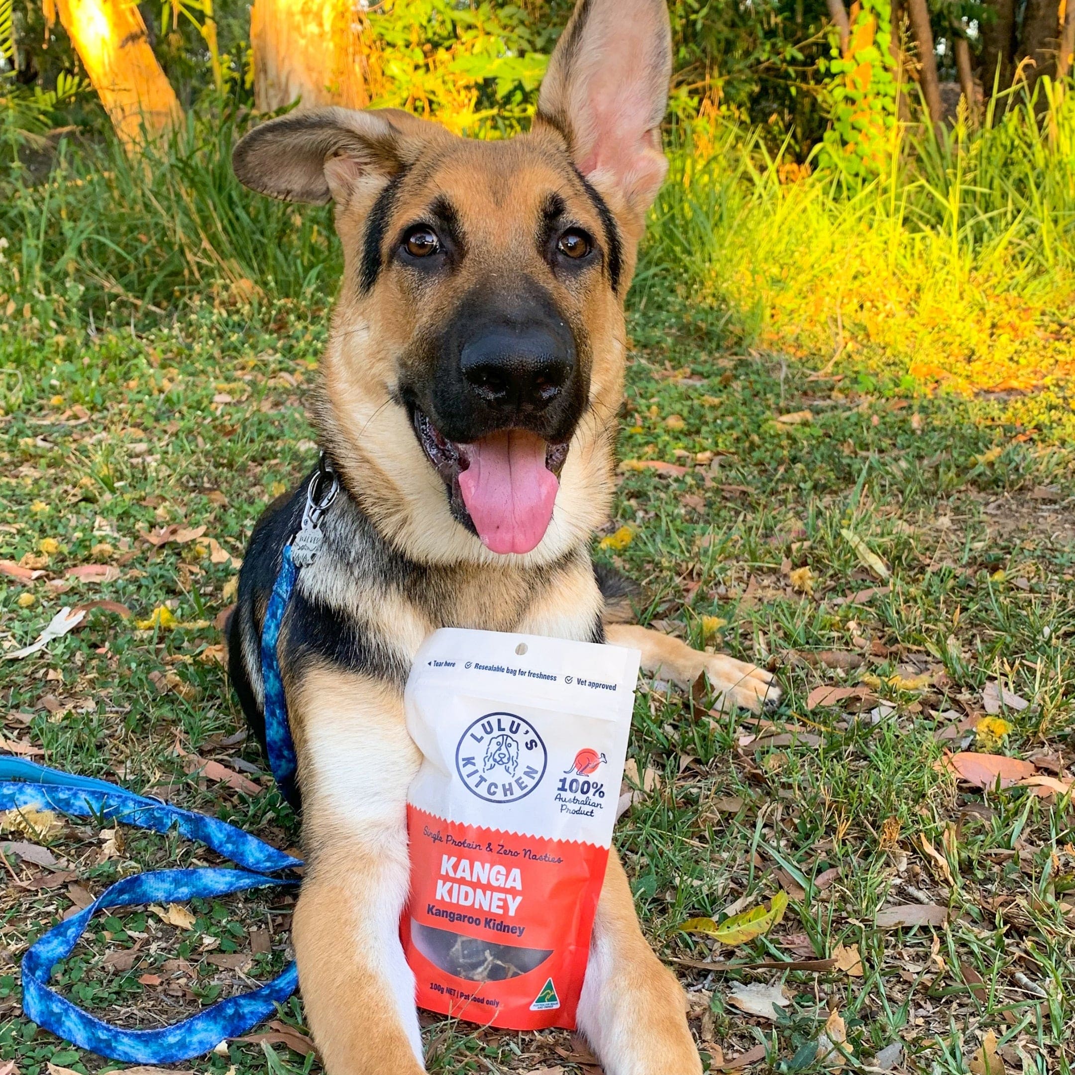 Kanga Kidney - Kangaroo Kidney-Dog Treat-Rover Pet Products