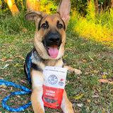 Kanga Kidney - Kangaroo Kidney-Dog Treat-Rover Pet Products