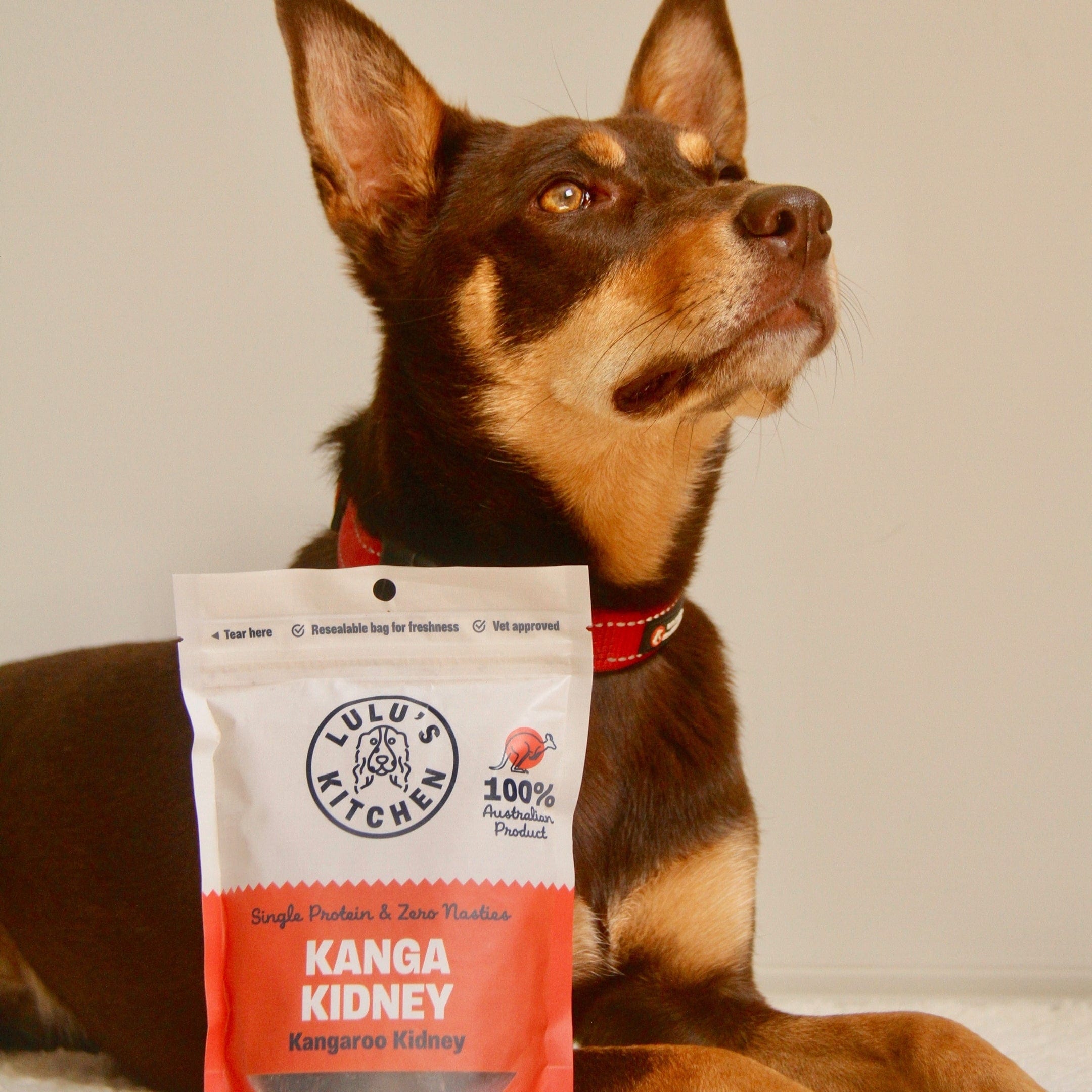 Kanga Kidney - Kangaroo Kidney-Dog Treat-Rover Pet Products