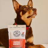 Kanga Kidney - Kangaroo Kidney-Dog Treat-Rover Pet Products