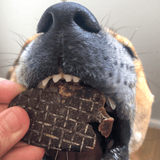 Kanga Kidney - Kangaroo Kidney-Dog Treat-Rover Pet Products