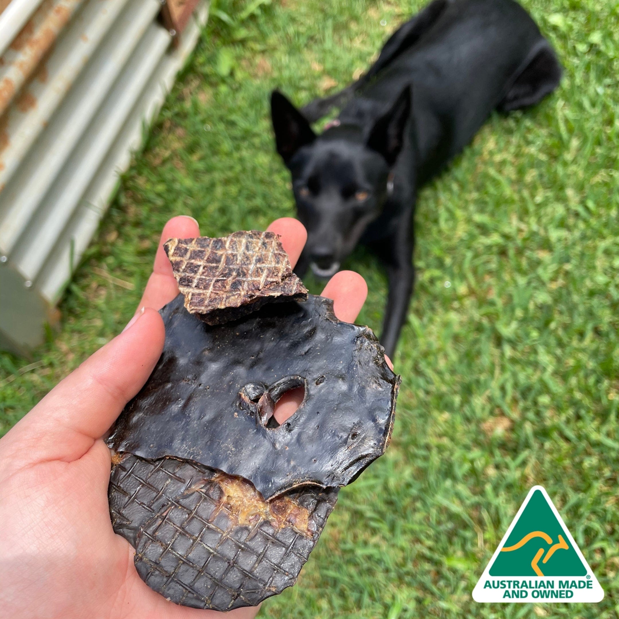 Kanga Kidney - Kangaroo Kidney-Dog Treat-Rover Pet Products