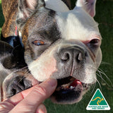 Kanga Kidney - Kangaroo Kidney-Dog Treat-Rover Pet Products