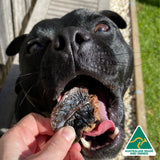 Kanga Kidney - Kangaroo Kidney-Dog Treat-Rover Pet Products