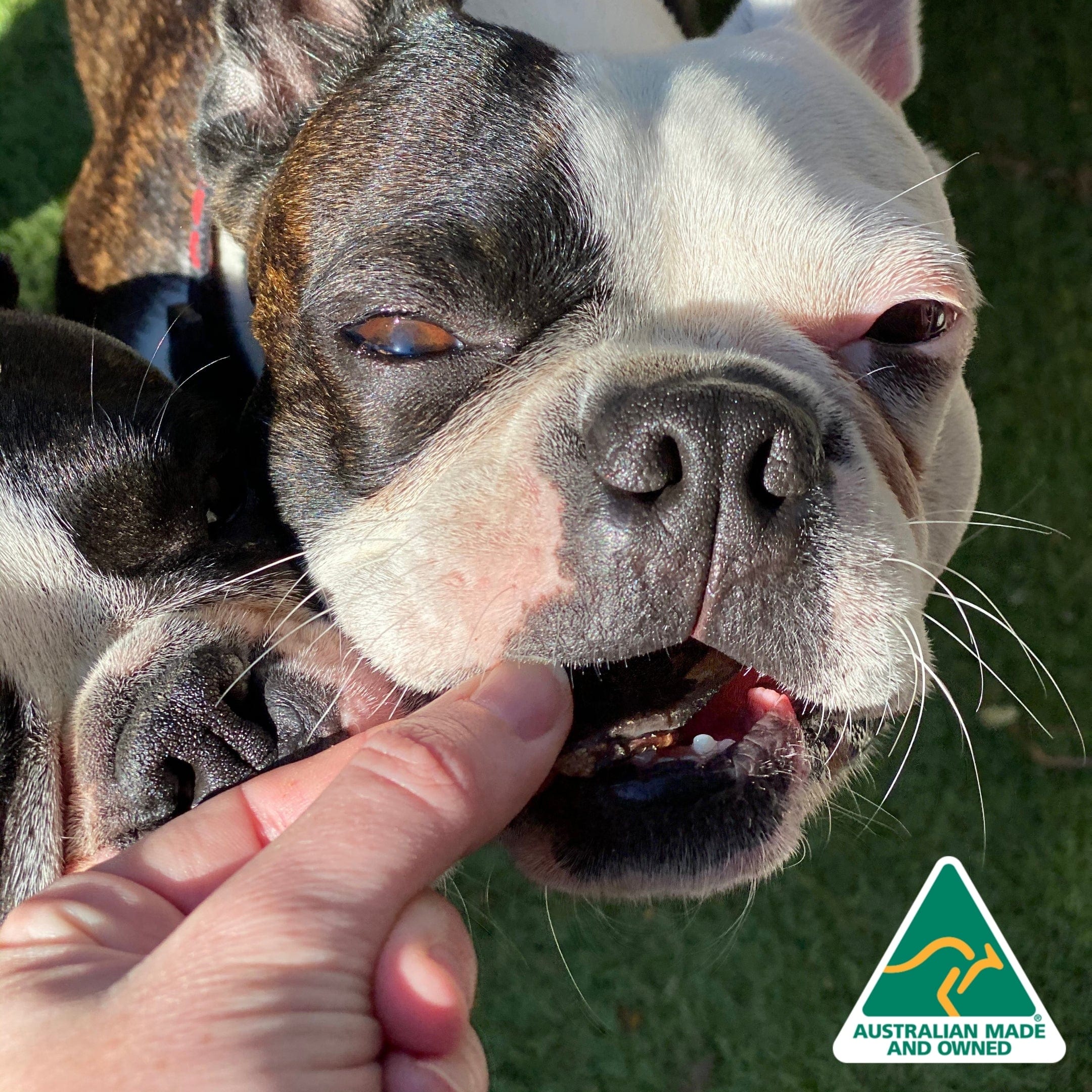 Lamb Roast - Lamb Liver-Dog Treat-Rover Pet Products