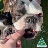 Lamb Roast - Lamb Liver-Dog Treat-Rover Pet Products