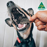 Lamb Roast - Lamb Liver-Dog Treat-Rover Pet Products