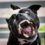 Lamb Roast - Lamb Liver-Dog Treat-Rover Pet Products