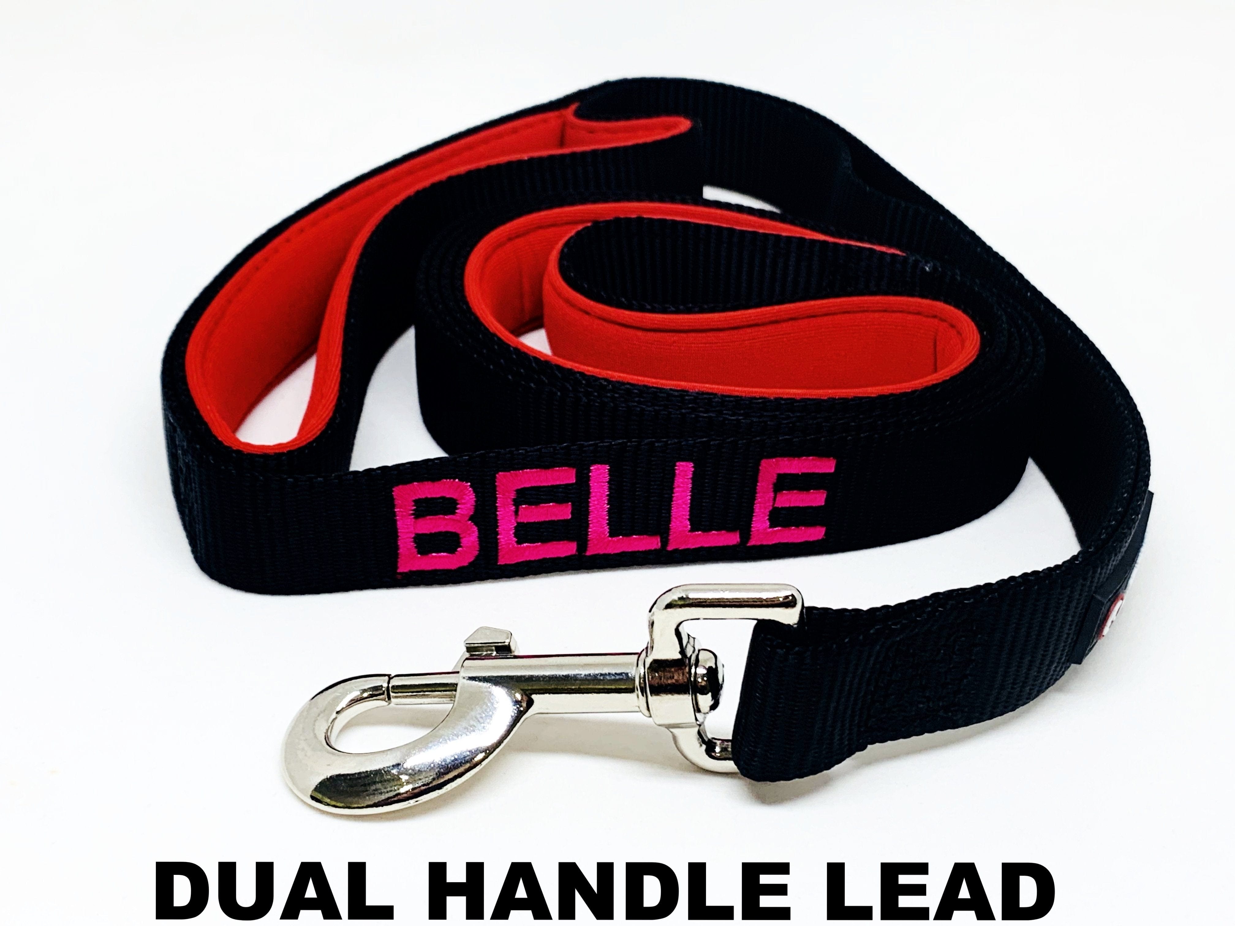 Leads-Dog Collar-Rover Pet Products
