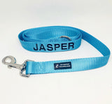 Leads-Dog Collar-Rover Pet Products