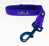 Leads-Dog Collar-Rover Pet Products