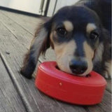 Lifesaver-Dog Toy-Rover Pet Products