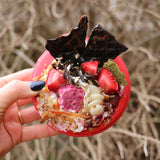 Lifesaver-Dog Toy-Rover Pet Products