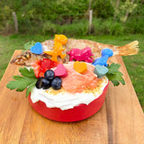 Lifesaver-Dog Toy-Rover Pet Products