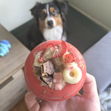 Lifesaver-Dog Toy-Rover Pet Products