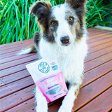 Baby Got Mack - Mackerel Bites-Dog Treat-Rover Pet Products