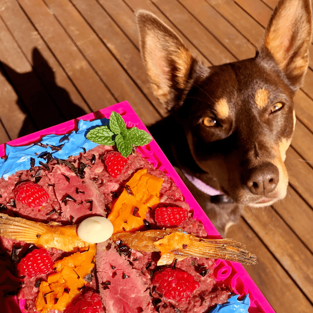 Flower Power eMat Enrichment Lick Mat-Slow Feeder-Rover Pet Products