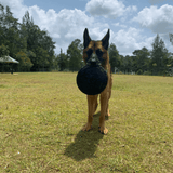 Magnum Bottle Top Flyer-Dog Toy-Rover Pet Products