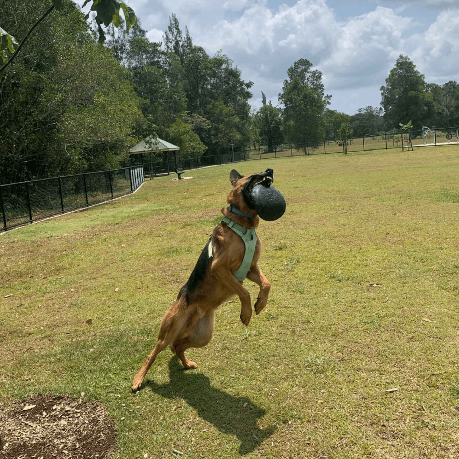 Magnum Bottle Top Flyer-Dog Toy-Rover Pet Products